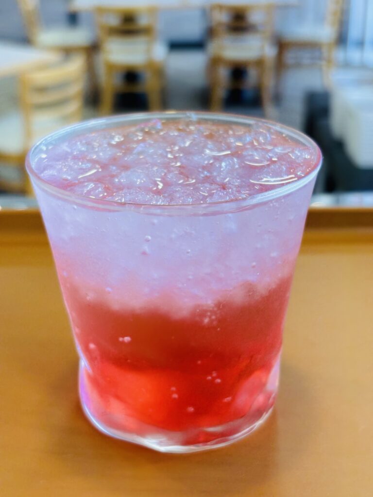 すこのスカッシュ